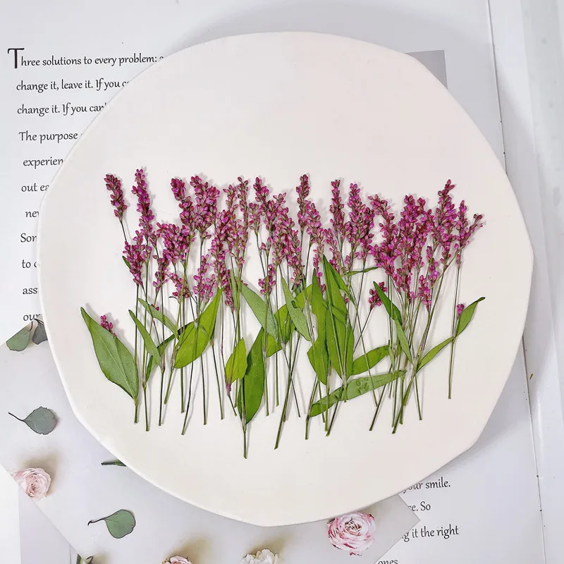 120pcs,5-8cm,Wholesale Nature  - Phone Cases Wholesale recensie en prijs